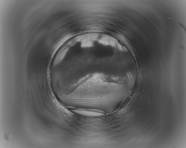 X0000100401243200806271413