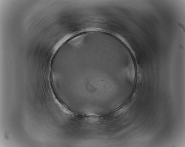 X0000100401245200806271413