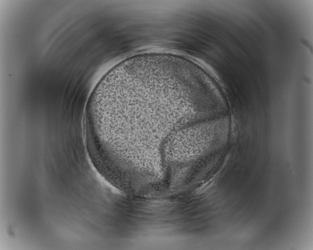 X0000100401247200806271413