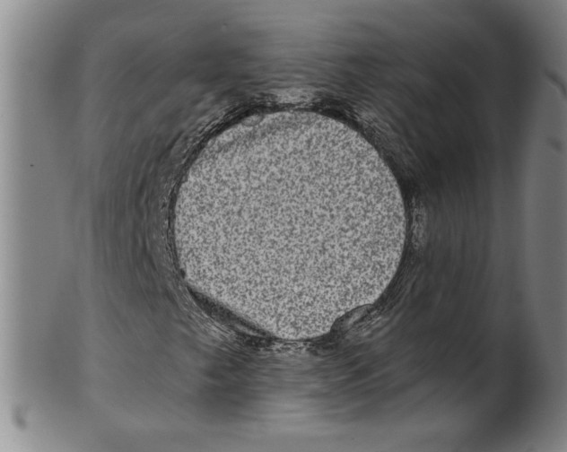 X0000100401249200806271412