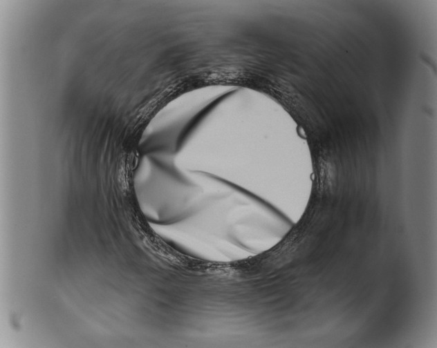 X0000100401250200806271412