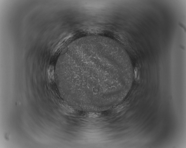 X0000100401251200806271412
