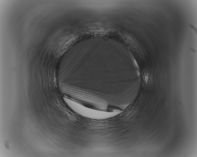 X0000100401252200806271412
