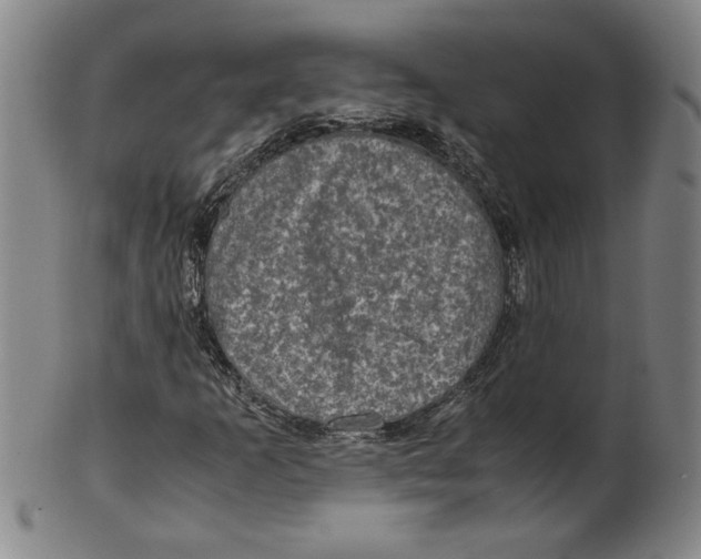 X0000100401253200806271412