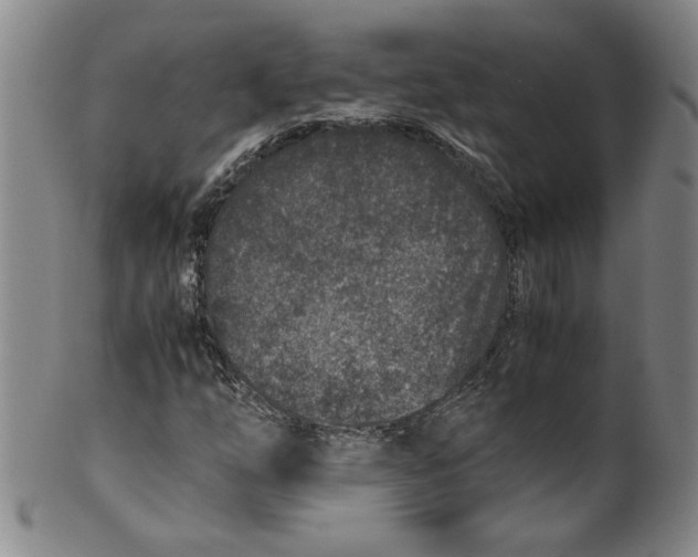 X0000100401254200806271412