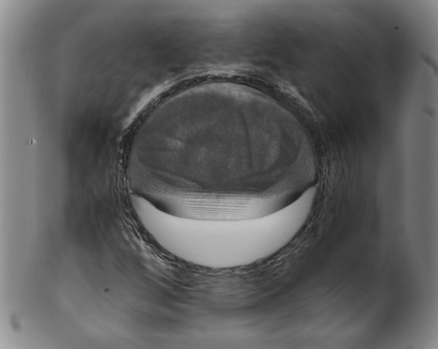 X0000100401256200806271412