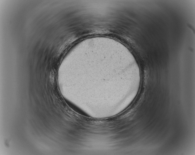 X0000100401257200806271412