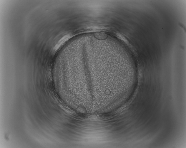 X0000100401259200806271412