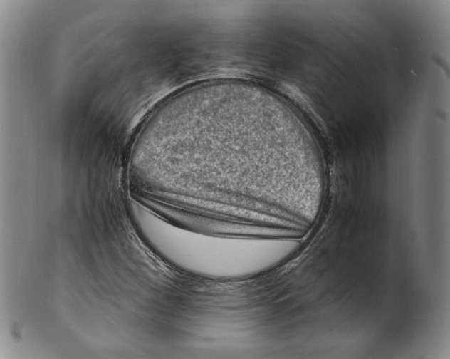X0000100401260200806271412