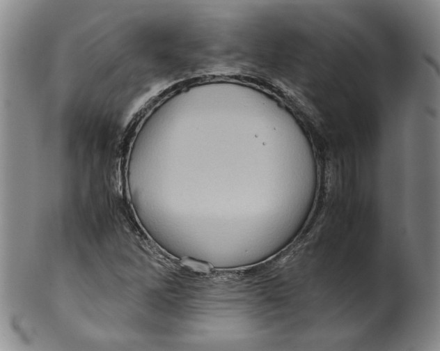 X0000100401262200806271412