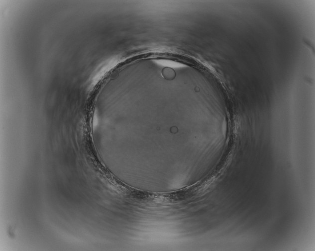 X0000100401263200806271412