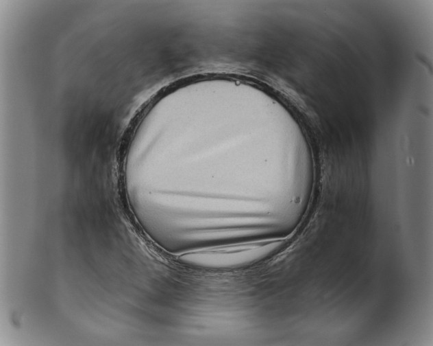 X0000100401264200806271412