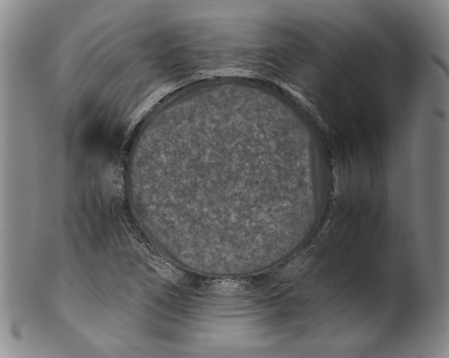 X0000100401266200806271412