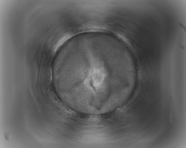 X0000100401267200806271412