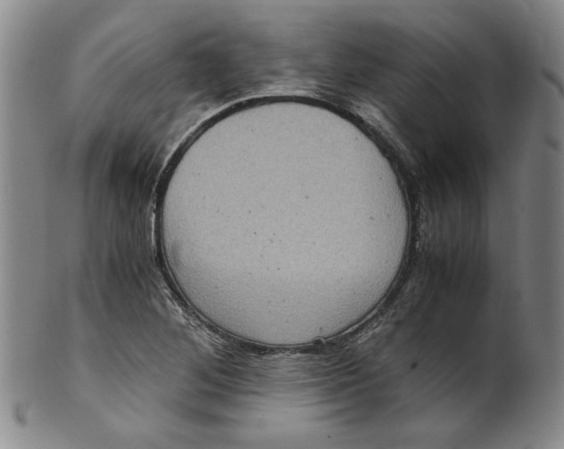 X0000100401268200806271412