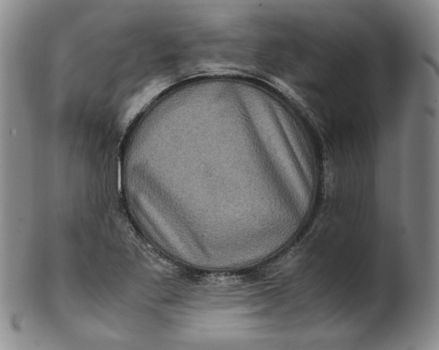 X0000100401269200806271412