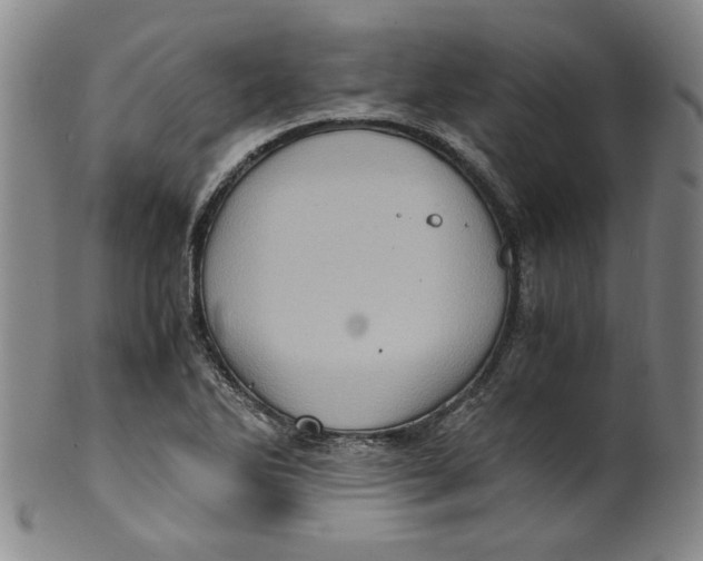 X0000100401270200806271412