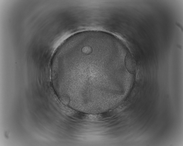 X0000100401271200806271412
