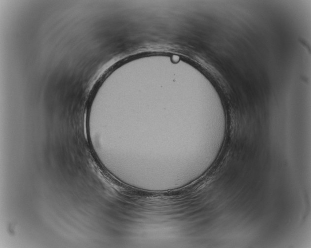 X0000100401272200806271412