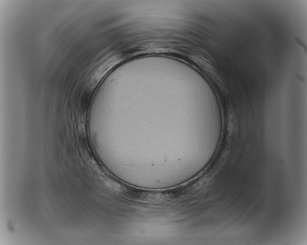 X0000100401273200806271412