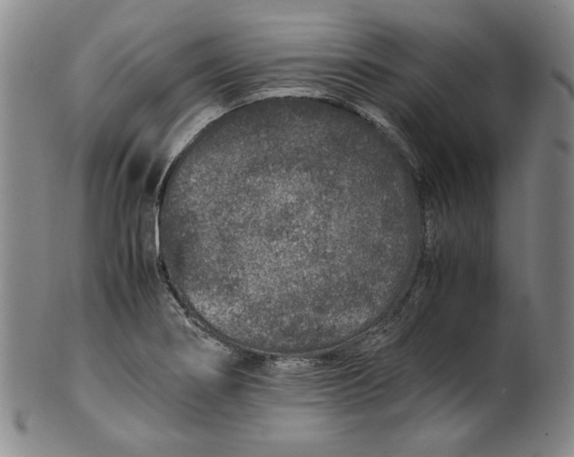 X0000100401274200806271412
