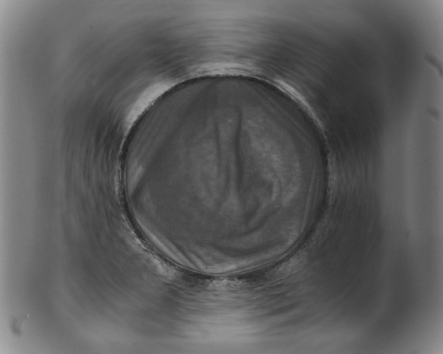 X0000100401277200806271412