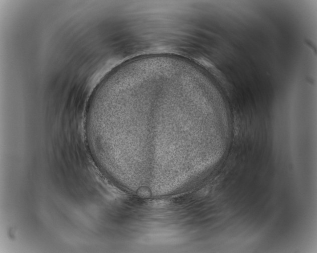 X0000100401278200806271412