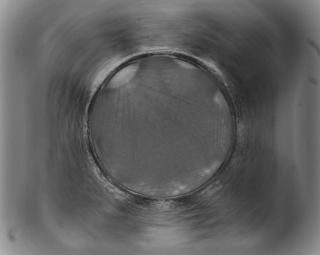 X0000100401279200806271412