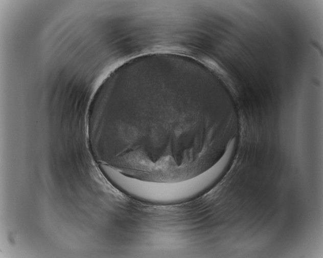 X0000100401280200806271412
