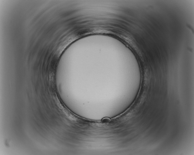 X0000100401281200806271412