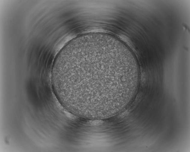 X0000100401282200806271412