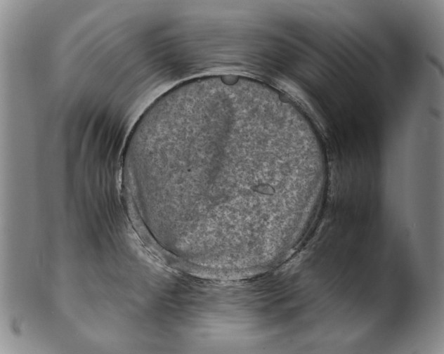 X0000100401284200806271412