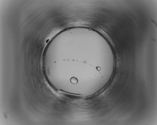 X0000100401285200806271412