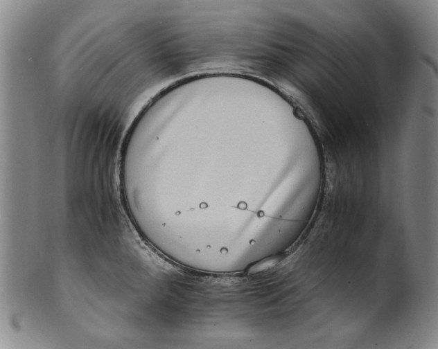 X0000100401288200806271412