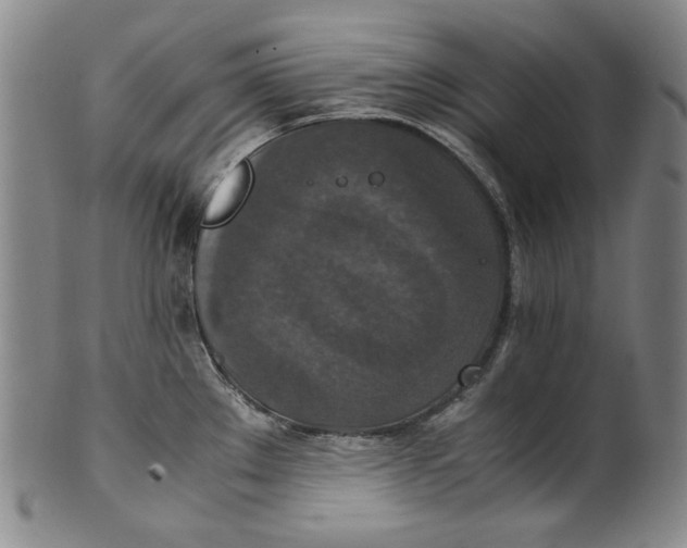 X0000100401289200806271412