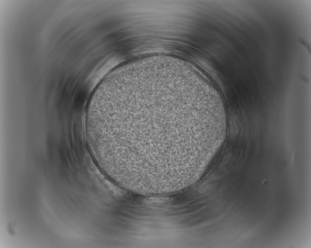 X0000100401290200806271412