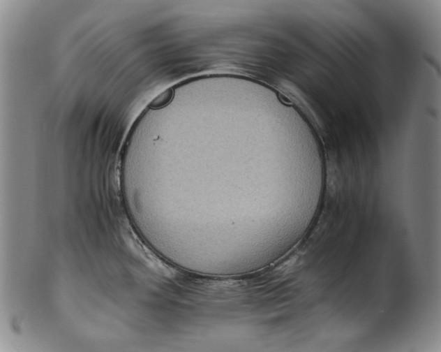 X0000100401292200806271412