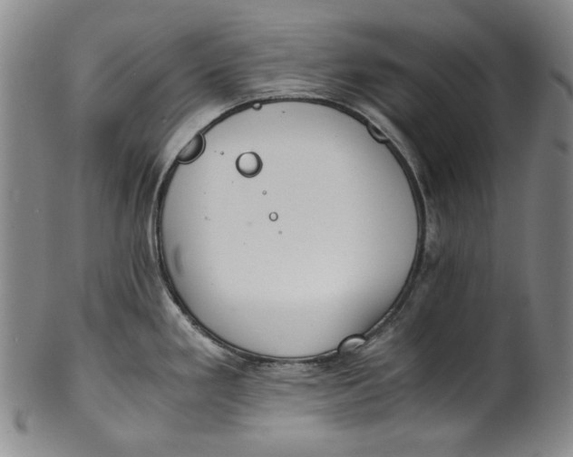 X0000100401293200806271412