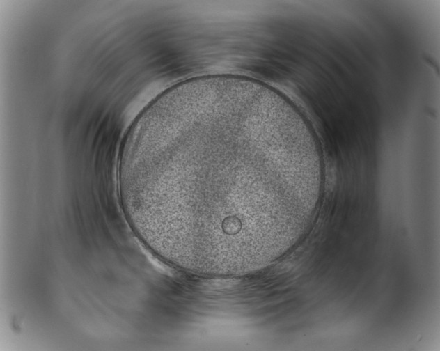 X0000100401294200806271412