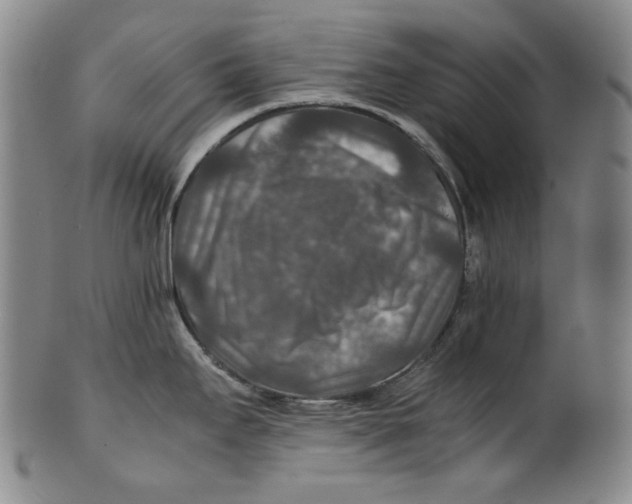 X0000100401295200806271412
