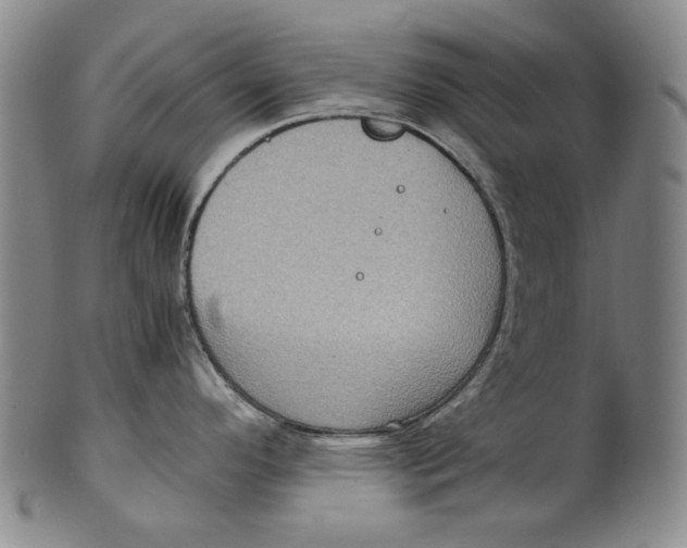 X0000100401296200806271412