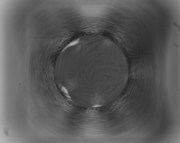 X0000100401297200806271411