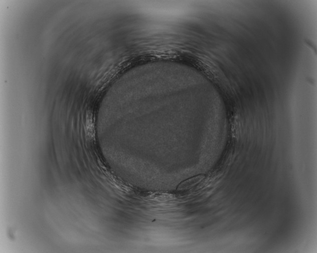 X0000100401298200806271411