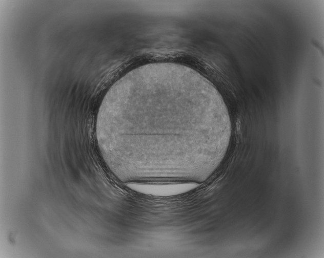 X0000100401300200806271411