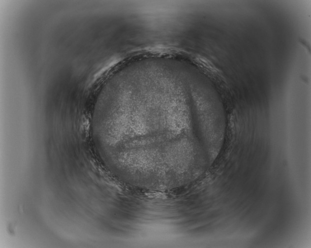 X0000100401302200806271411