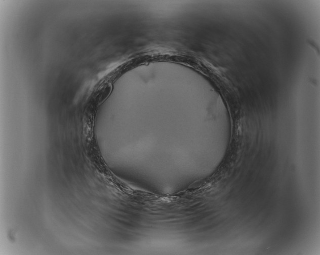 X0000100401303200806271411