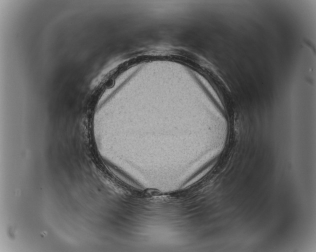 X0000100401304200806271411
