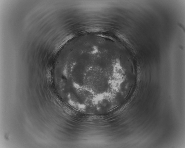 X0000100401305200806271411