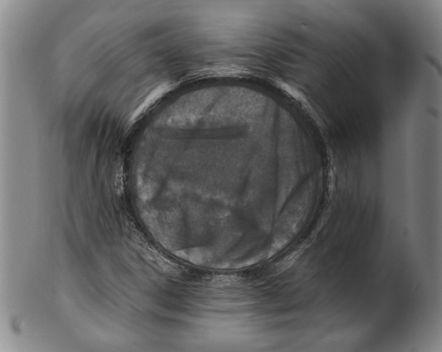 X0000100401306200806271411