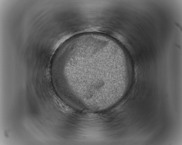 X0000100401308200806271411